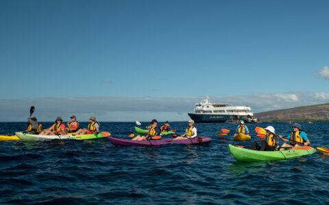 Group of tandem kayakers paddle green & purple boats by remote Hawaiian island & small ship with blue hull & white upper decks.