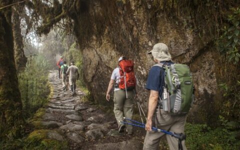 group hiking through wet, mossy fog on inca trail trek peru land tour