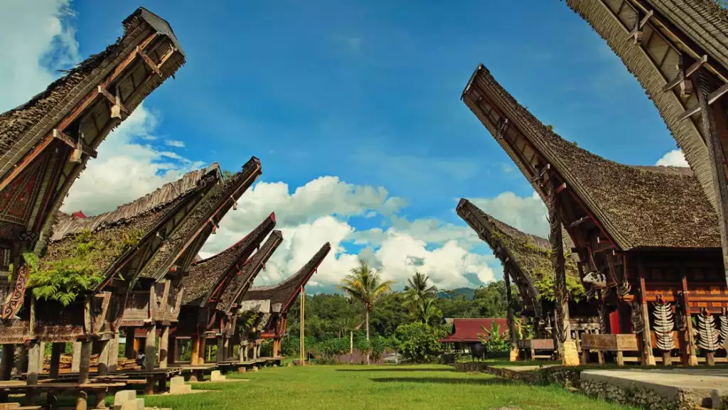 Row of thatched luxury bungalows with tall, pointed roofs facing each other across the grass on a sunny day in Indonesia.