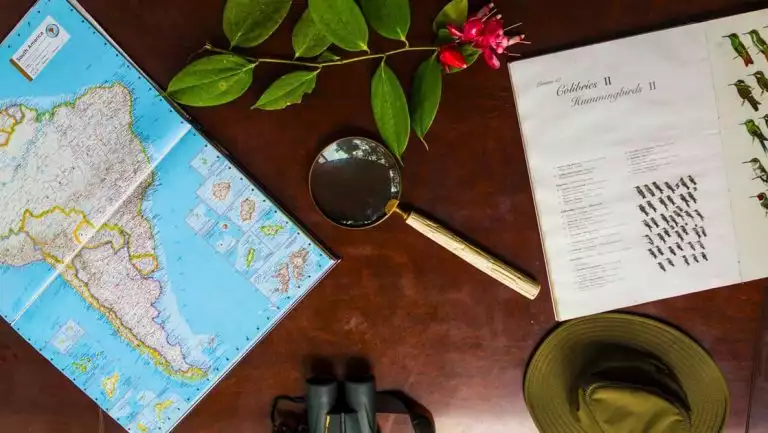 Dark wood table with South America map, magnifying glass, olive-colored hat, binoculars, bright pink flower & book on flora & fauna.
