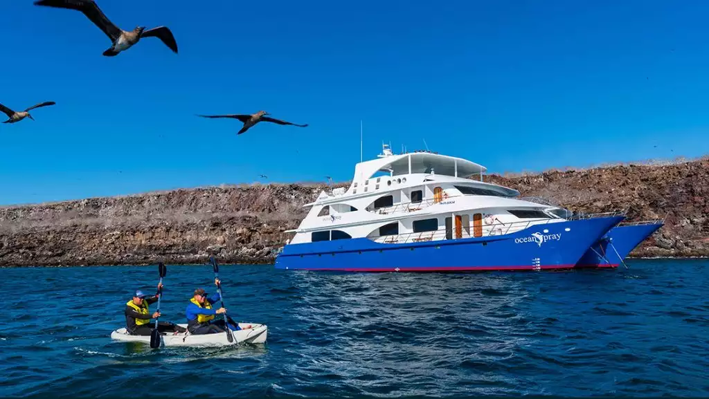 Tandem kayakers in silver boat paddle calm sea beside Ocean Spray Galapagos catamaran as frigatebirds soar overhead in the sun.