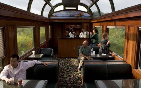travelers on a luxury passenger train with windows and a glass ceiling on the panama discovery land tour relax on large comfortable chairs and tables