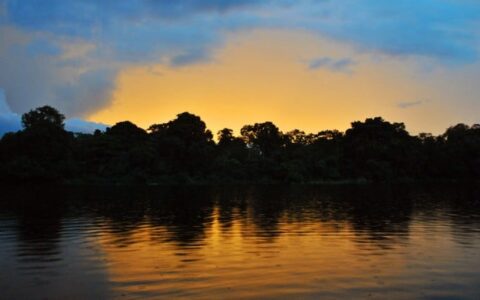 amazon river at night with the jungle reflecting off of the water and a cloud above