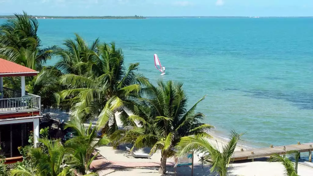 A windsurfer sailing on turqouise water along the beach with palm trees and houses.