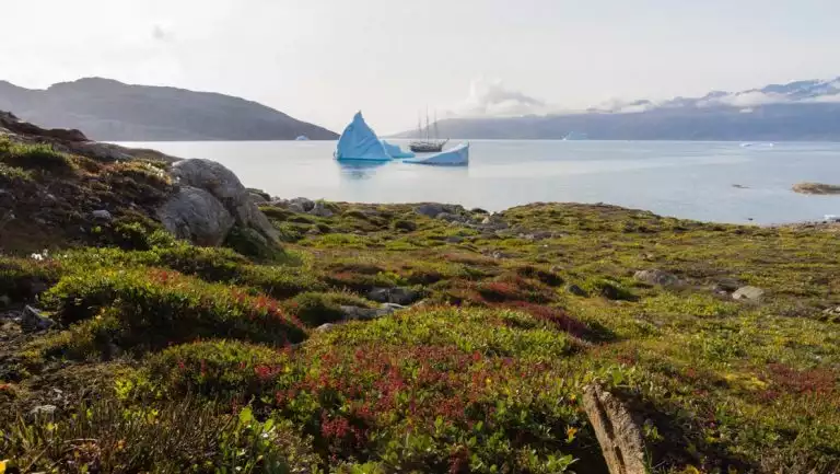 Green tundra with red flowers in foreground, calm ocean with small ship beside large iceberg in background on a sunny day.