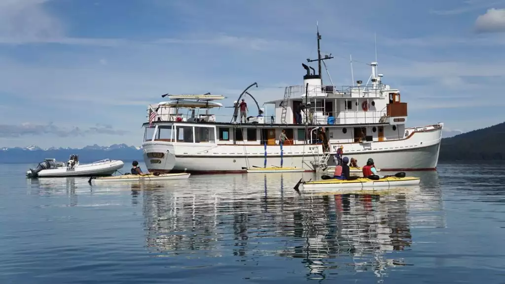 small ship sea wolf floats in Alaska's Glacier Bay as travelers paddle yellow and white kayaks around the ship.