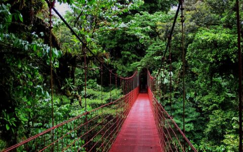 A red hanging bridge going through the jungle in Costa Rica.