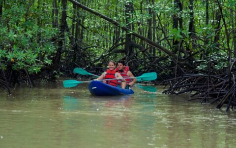 2 tandem kayakers paddle a blue boat with teal paddles down a jungle river on the Tropical Rainforests & Manuel Antonio tour.