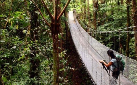 woman on suspension bridge on tropical volcano & cloud forest land tour in costa rica