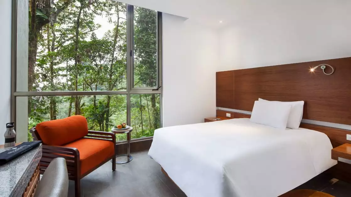 Mashpi Wawa single room with full bed and floor to ceiling windows.