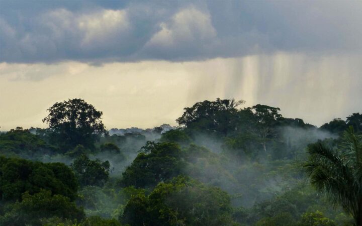 showcasing the amazon climate with heavy rain falling through the jungle canopy and sun in the distance