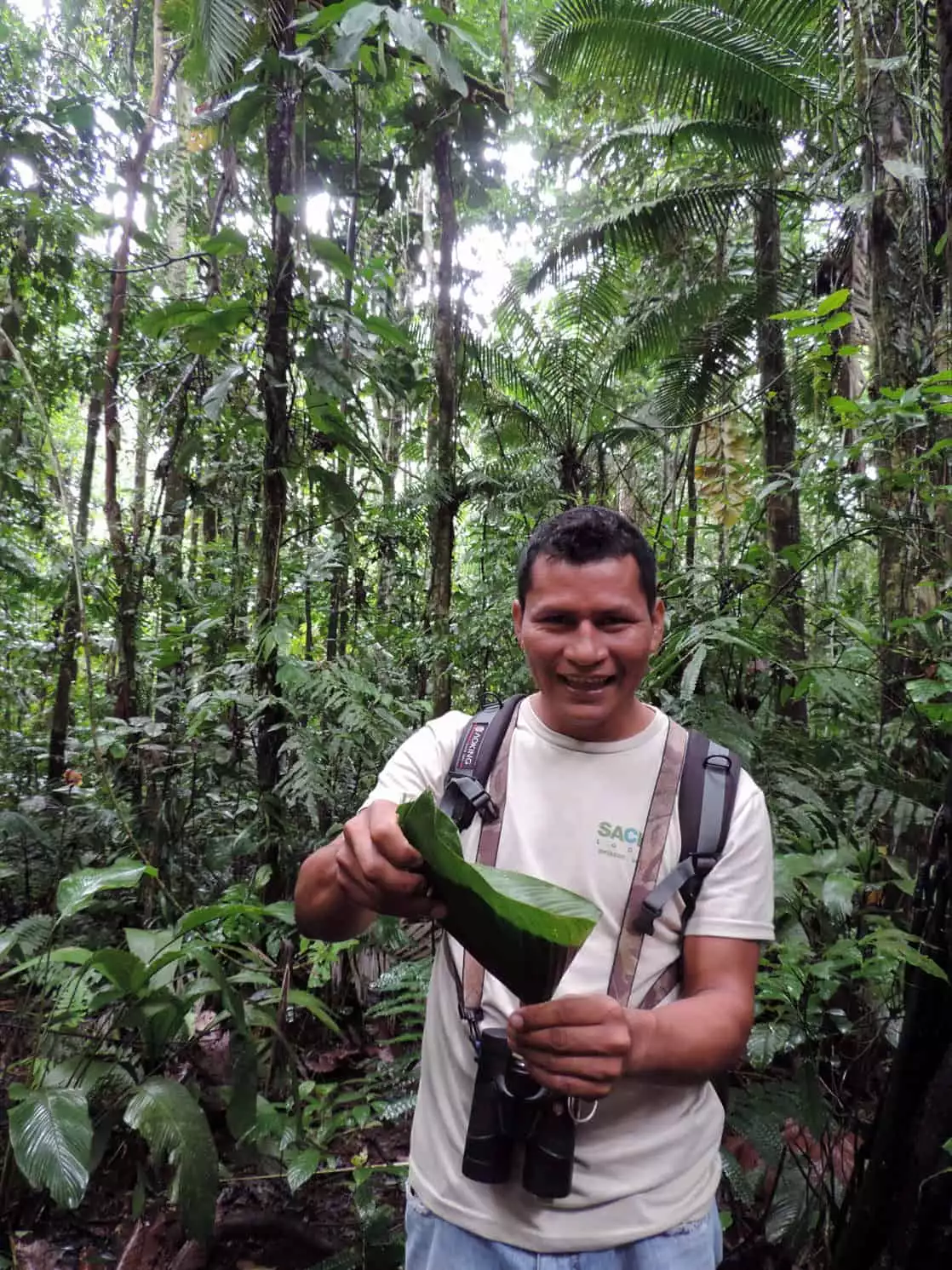 Sacha Lodge guide holding a green broad leaf demonstrating its uses with a smile.