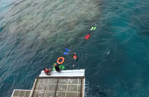 Snorkelers swimming off the swim step of the Coral Expeditions II.