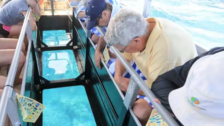 travelers lean over a railing looking through the window of a glass bottom boat during the great barrier reef australia cruise
