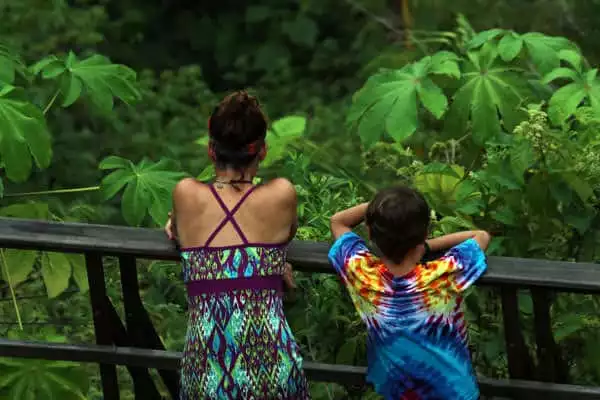 Mother and son traveler looking out into the rainforest from the deck.