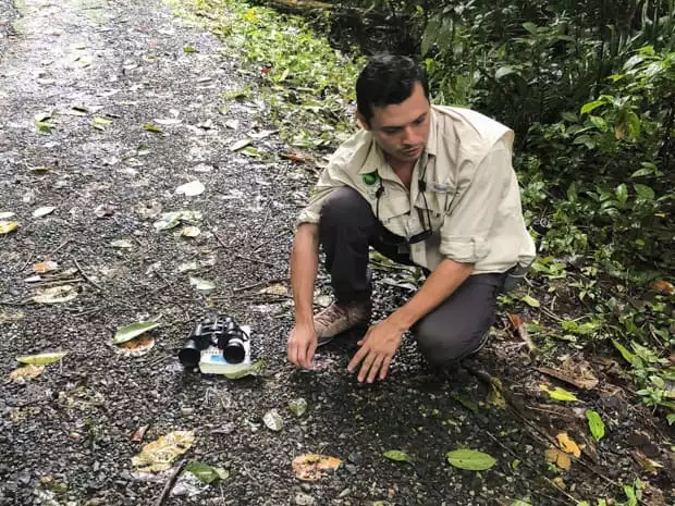 Guide kneeling in the Gamboa rainforest pointing things out to guests on tour in Panama. 