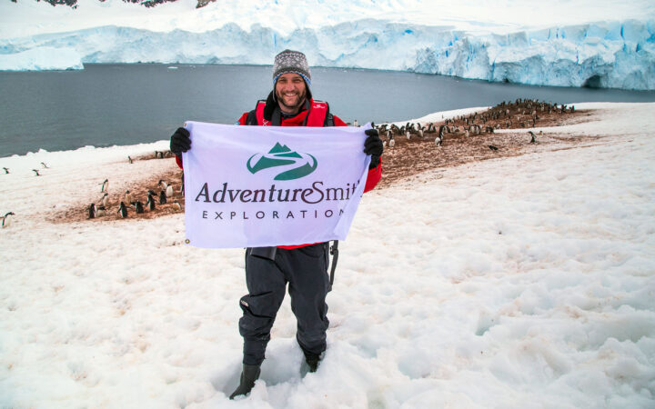 A traveler stands in front of a group of penguins on the snow holding a white AdventureSmith Explorations logo flag
