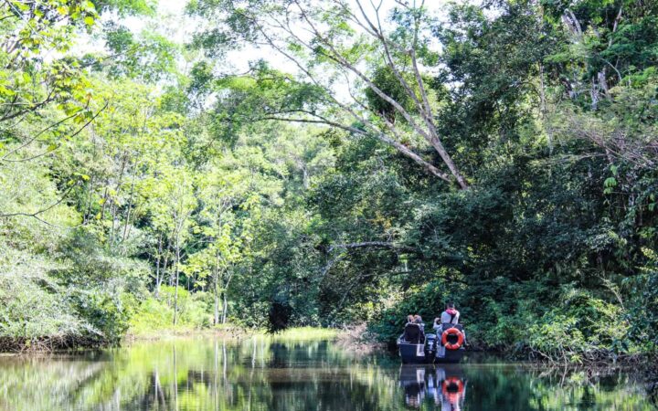 A skiff of Amazon travelers navigating through the channels of the Amazon Rainforest into the deep green jungle.