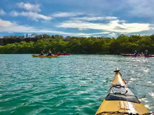 Group of travelers kayaking in the ocean.