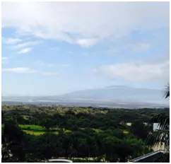 View of green landscape in Hawaii