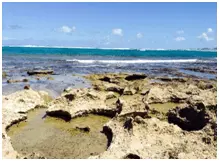 Coast of Hawaii with tidepools formed in the rock