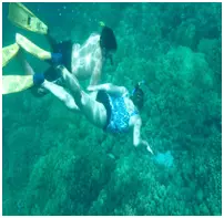 Two snorkelers looking at the coral