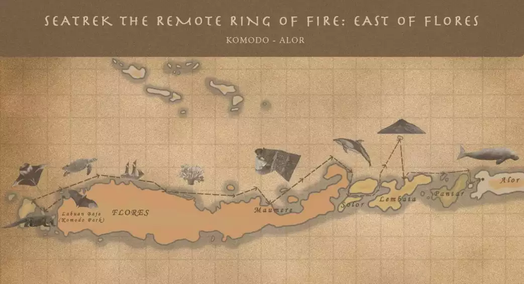 A sepia toned cruise map showing the path of a ship sailing the Ring of Fire from Komodo to Alor Indonesia