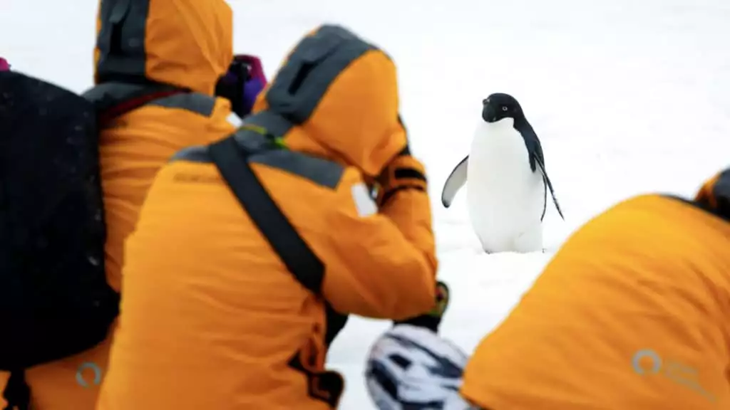 Photo by: David Merron/Quark Expeditions