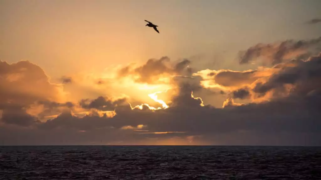 Photo by: Acacia Johnson/Quark Expeditions