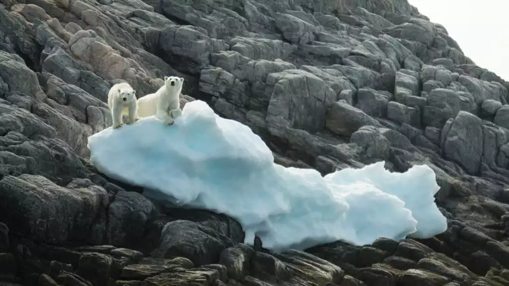 Photo by: Acacia Johnson/Quark Expeditions