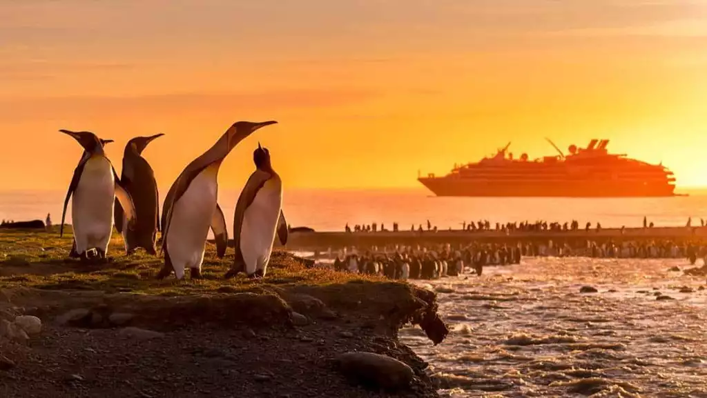 A vivid yellow orange sunset in Antarctica's South George Island. A colony of king penguin occupy the land as a ship floats offshore.