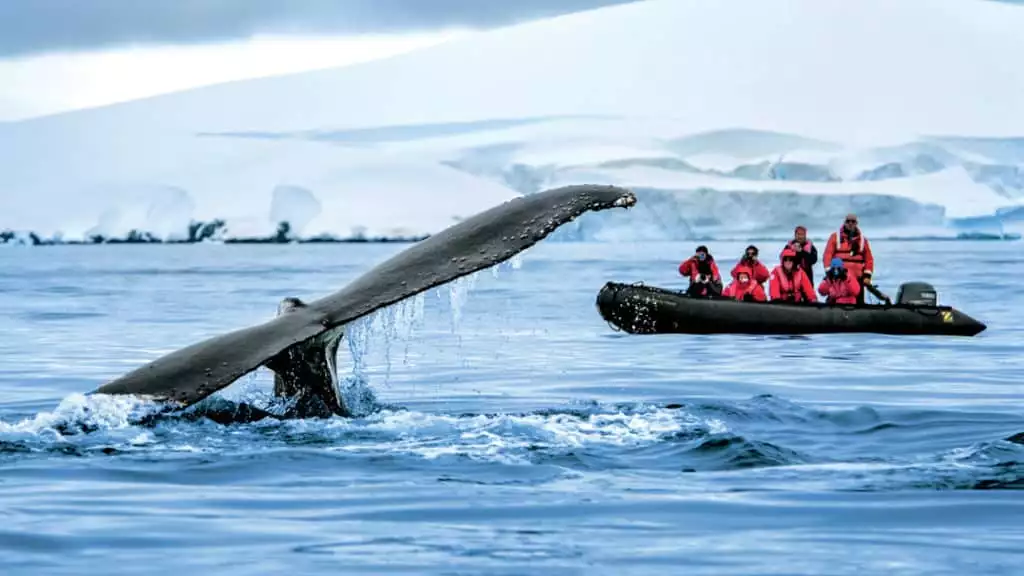 Photo by: Lorraine Turci/PONANT