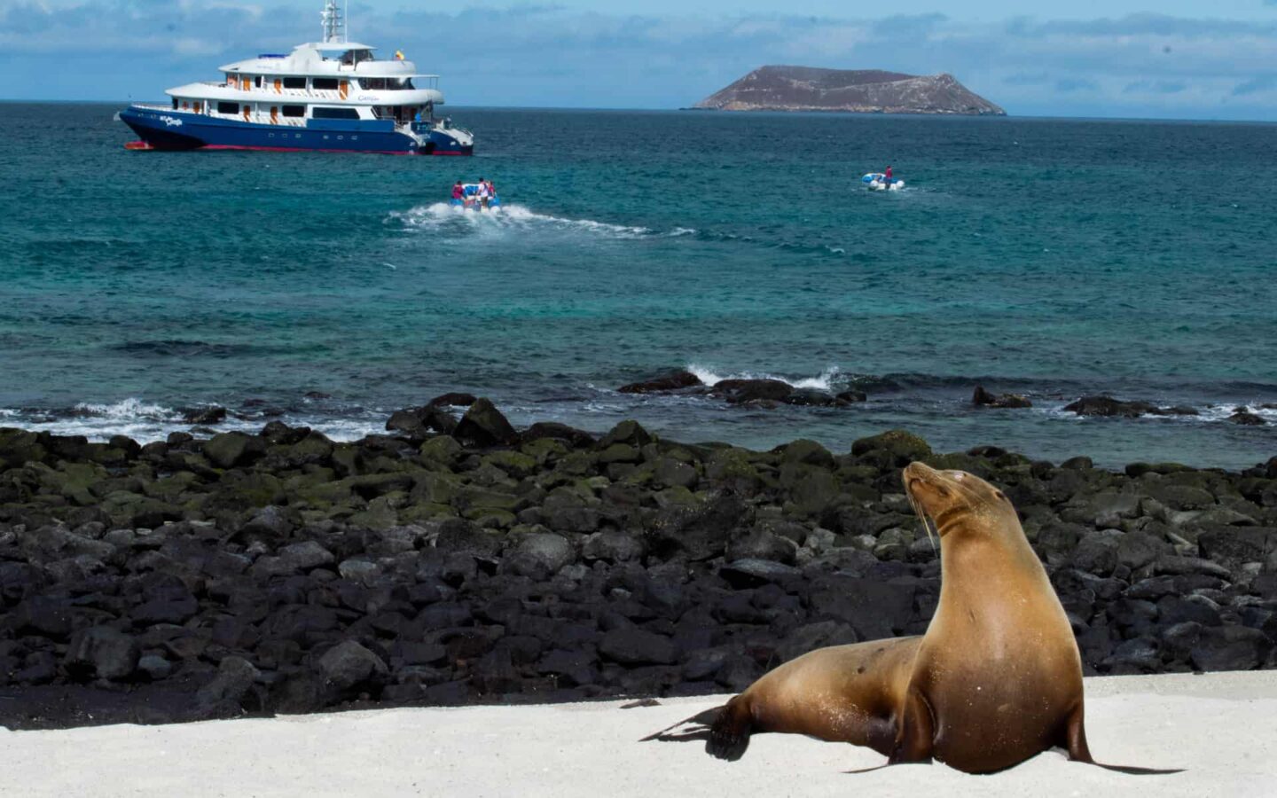 A sea lion basks on the beach on a sunny blue sky day, behind it are two pangas driving towards the Camila Galapagos trimaran, floating in the ocean