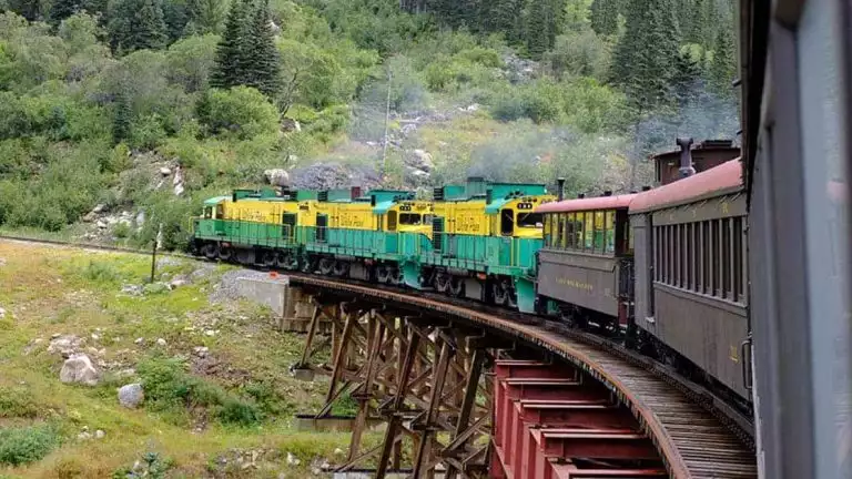 the white pass yukon trail going from alaska to canada through the forest