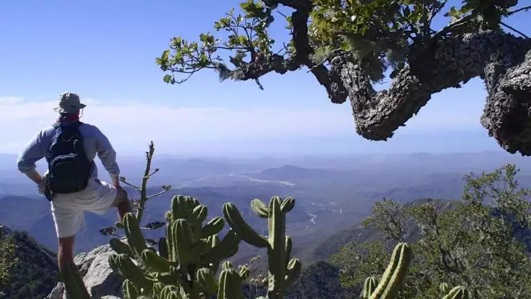 Man stands beside large cacti at the top of a lookout on a hike from Camp Cecil de la Sierra.
