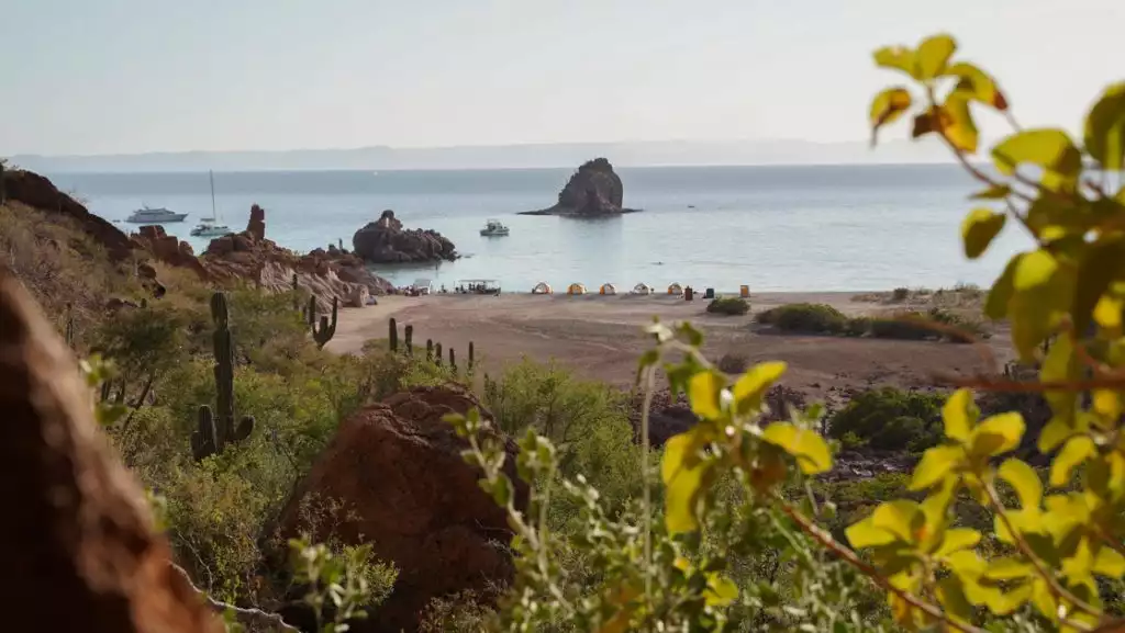 View from hillside onto sandy beach with 5 small dome-style tents for glamping Baja, surrounded by calm sea & green foliage.