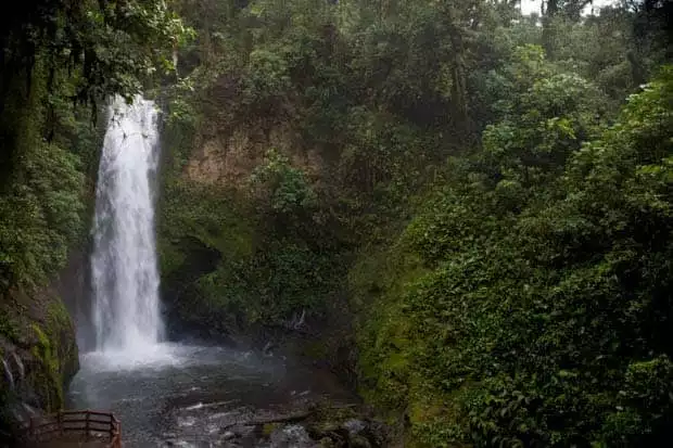 la paz costa rica waterfall spilling into a pool surrounded by green jungle foliage