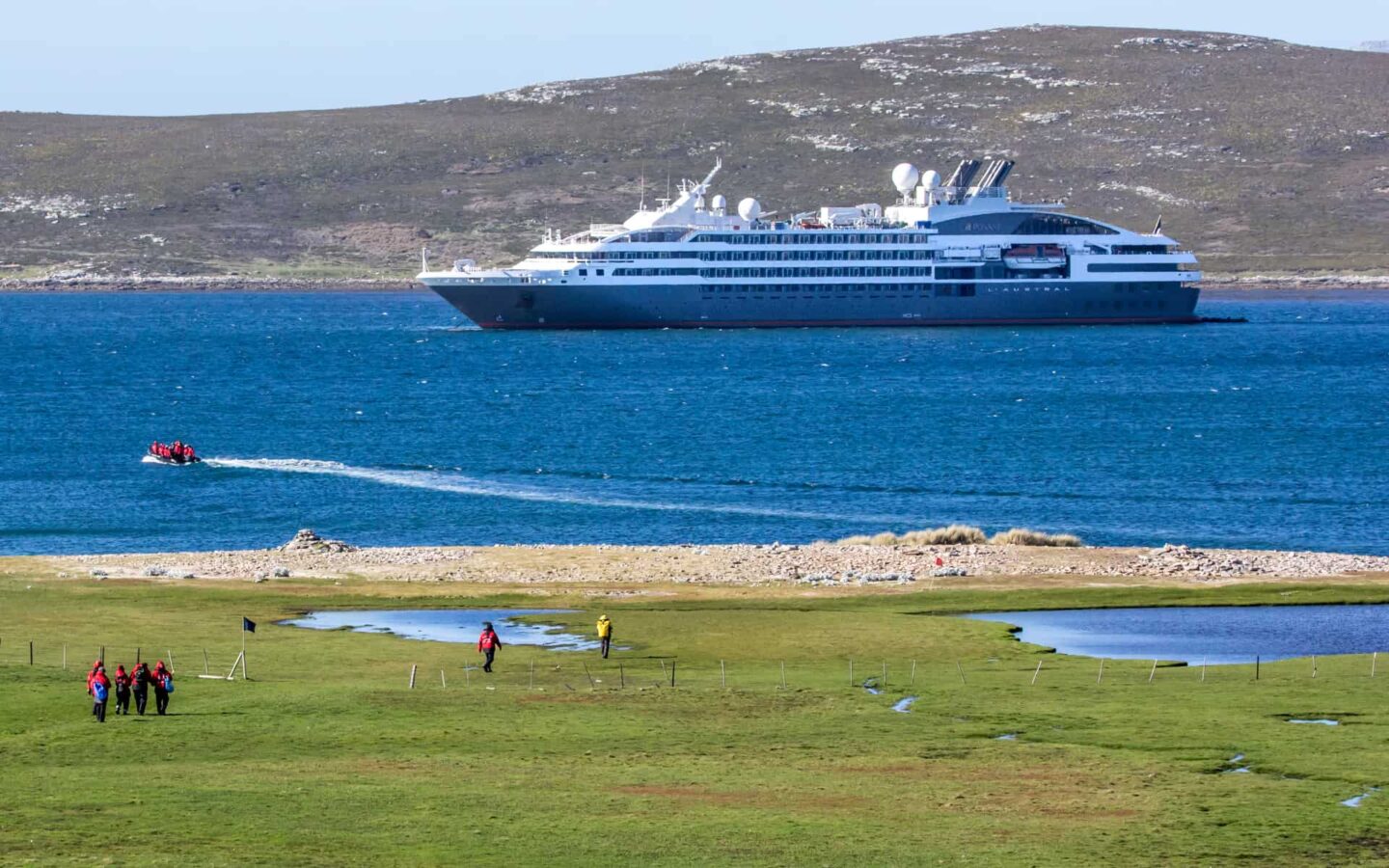 the multi story blue and white luxury ship L'Austral floats in the blue Antarctic ocean beyond a green grassy shoreline, guests in red parkas are walking to the shore.