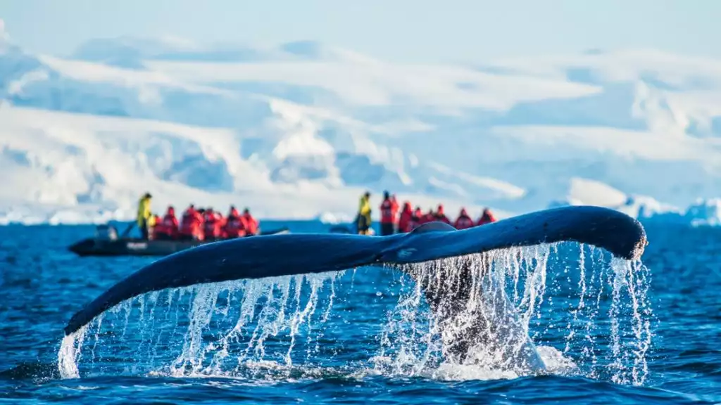 Photo by: Laurence Fischer/PONANT