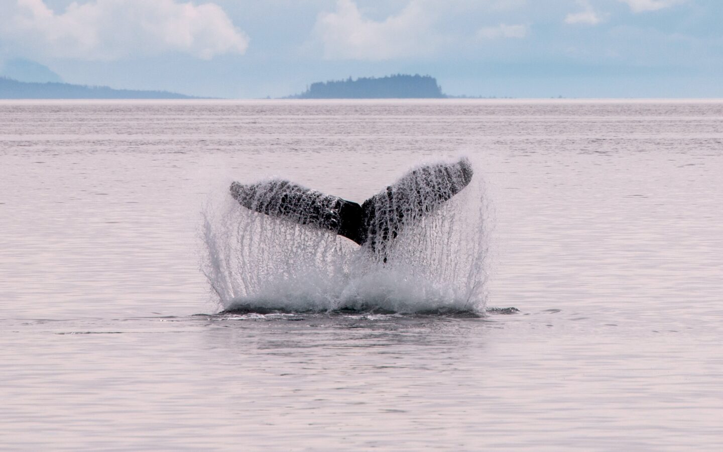 Expert Review: Slow Travel in Alaska