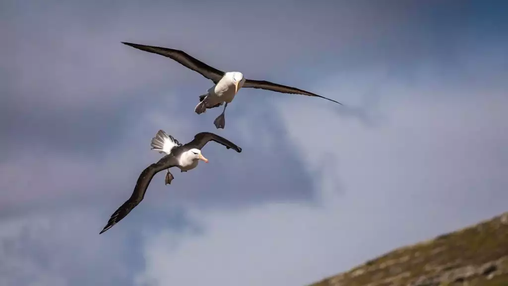 Photo by: Acacia Johnson/Quark Expeditions