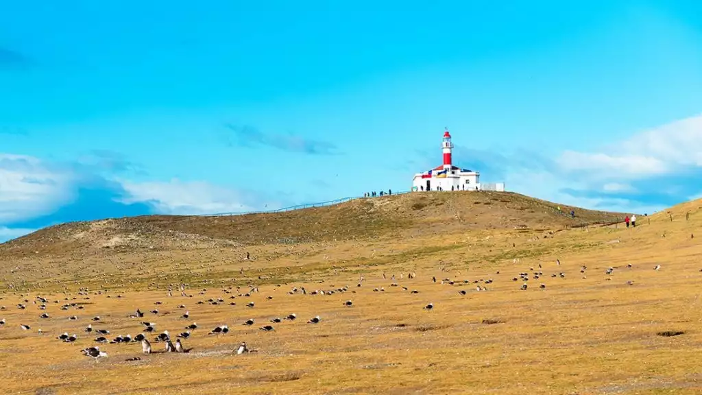 Photo by: ggfoto/Quark Expeditions