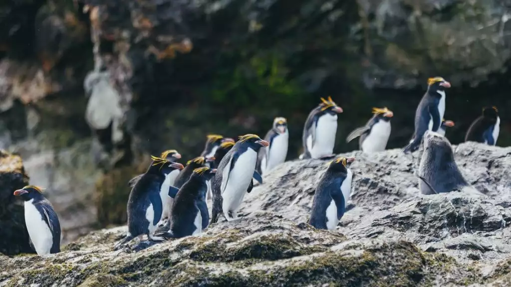 Photo by: David Merron/Quark Expeditions