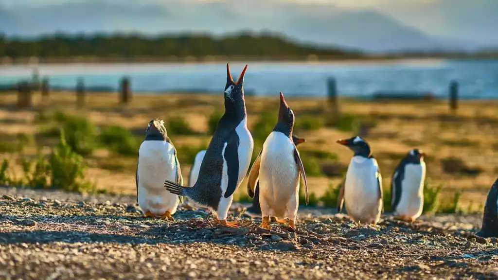 Photo by: Vitaly/Quark Expeditions
