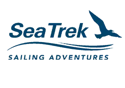 SeaTrek Sailing Adventures logo with bird flying.