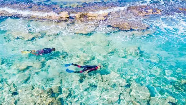 Two snorkelers in wetsuits swim in the Caribbean Sea turquoise water near coral on a Belize snorkeling cruise.