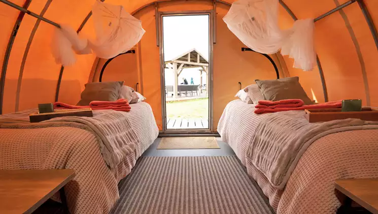 Tunnel-style canvas tent at Bear Camp Alaska with 2 twin beds, white bug nets & luxury bedding plus carpet on floor.