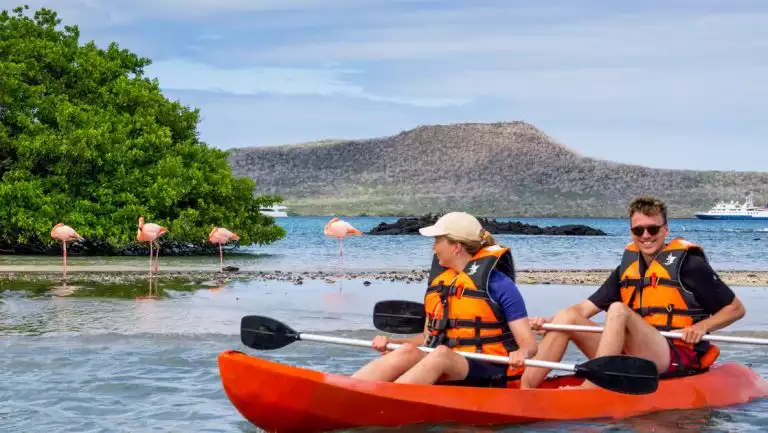 Tandem kayakers in red boat paddle near a flock of pink flamingoes on a sunny day during a Grand Majestic Galapagos Cruise.