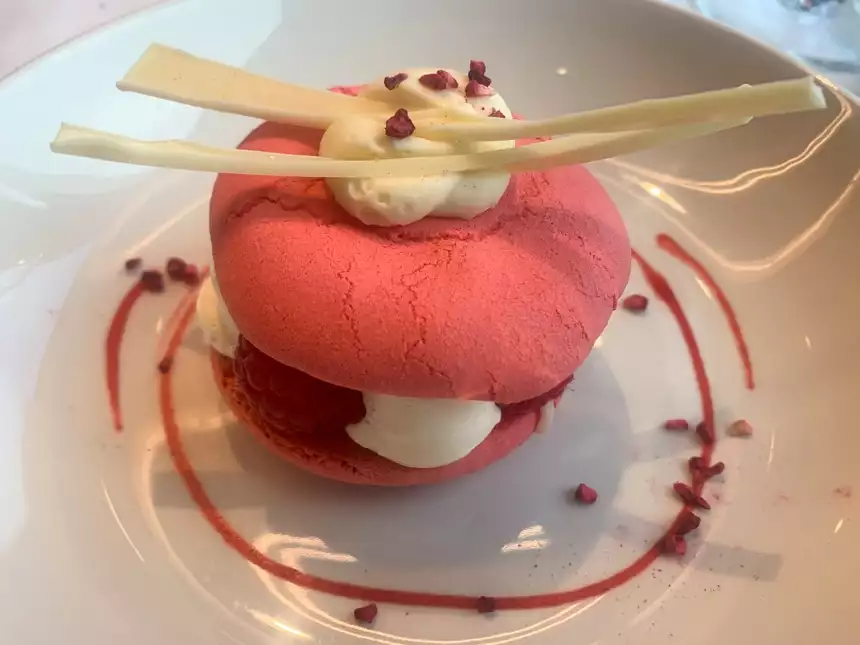 A white plate with a brightly colored pink cake sandwiching red raspberries and white cream filling. Topped with white chocolate.