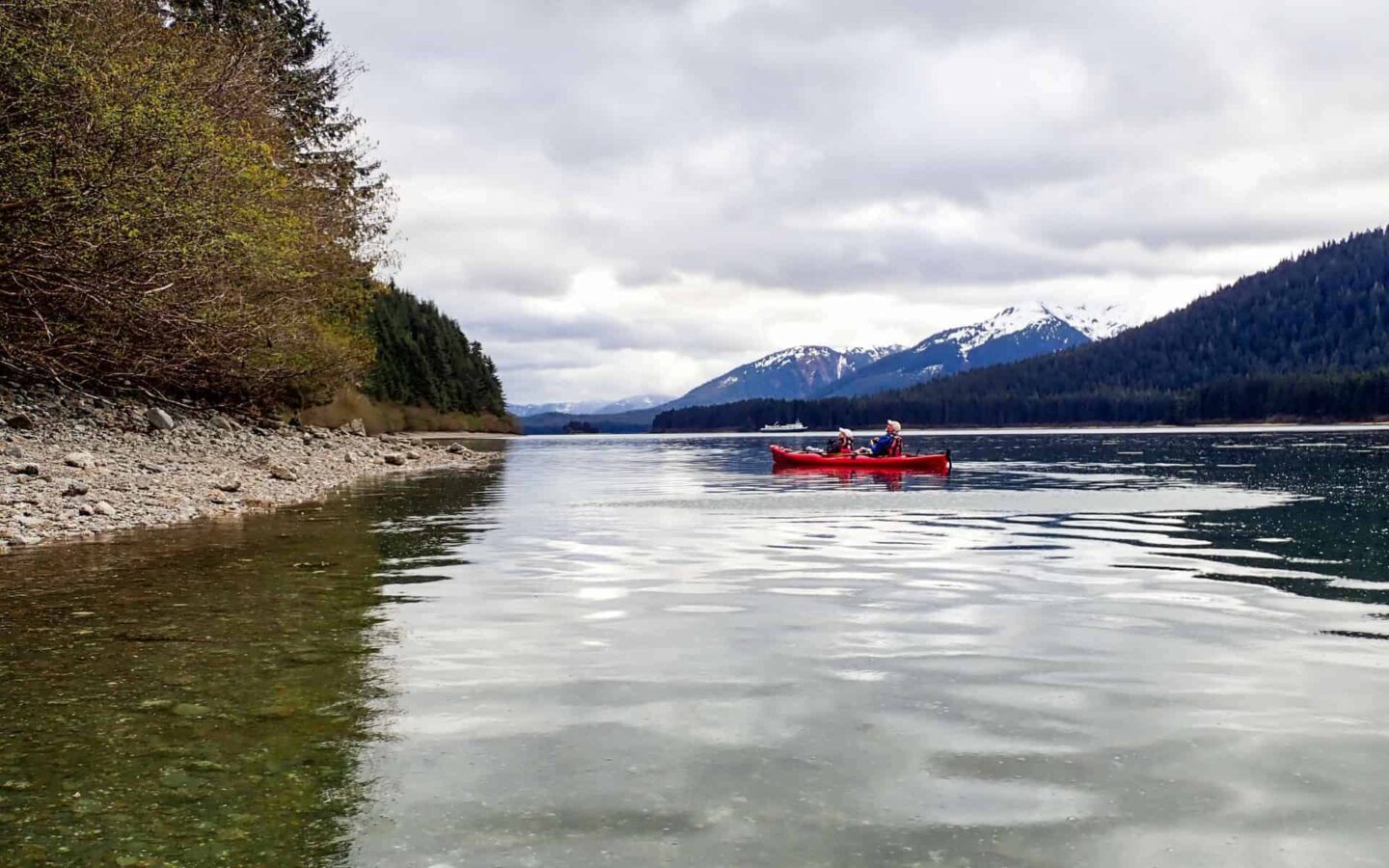 A pair of Alaska kayakers birding from their small ship in Alaska's Inside Passage.
